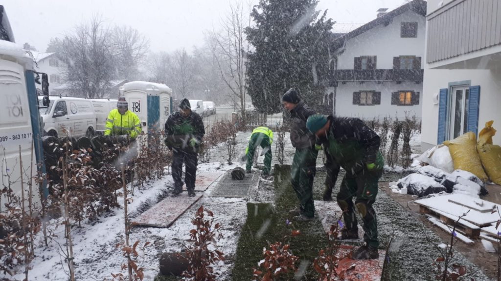 Rollrasen im Winter verlegen Rollrasen im Winter verlegen
