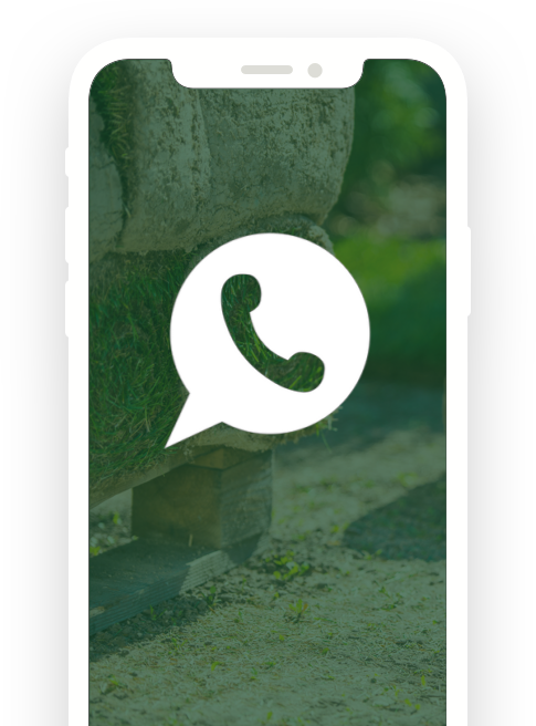 smartphone-whatsapp-2