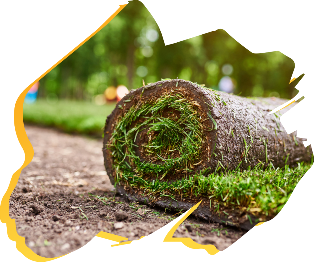 Rollrasen bestellen Reutlingen